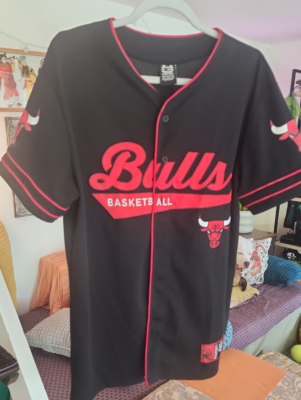 Chicago Bulls Black & Red Baseball-Style Jersey